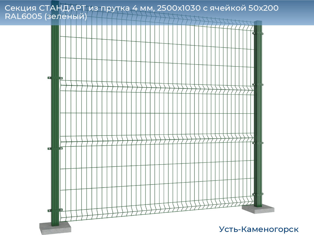 Секция СТАНДАРТ из прутка 4 мм, 2500x1030 с ячейкой 50х200 RAL6005 (зеленый), 