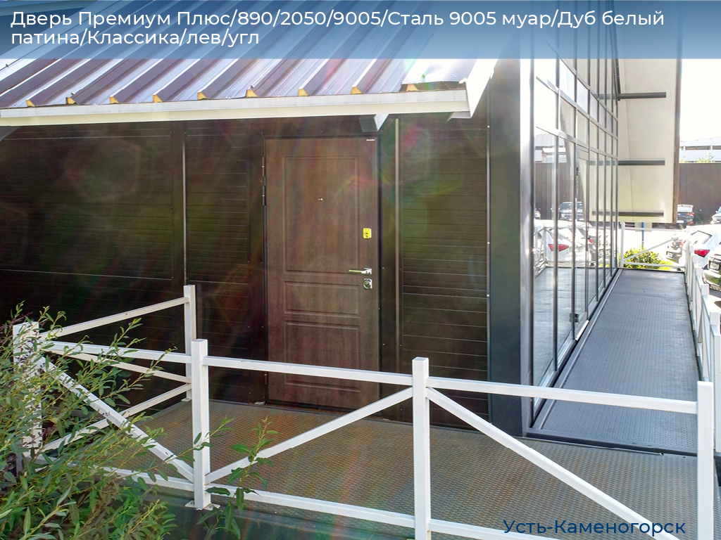 Дверь Премиум Плюс/890/2050/9005/Сталь 9005 муар/Дуб белый патина/Классика/лев/угл, 