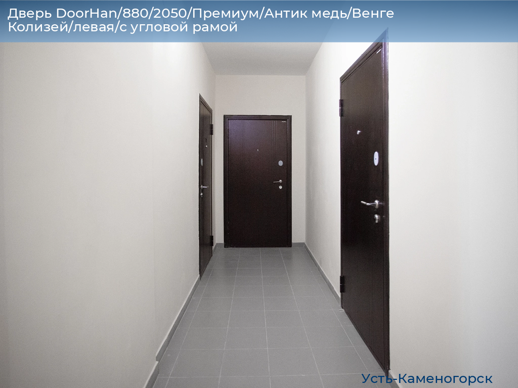 Дверь DoorHan/880/2050/Премиум/Антик медь/Венге Колизей/левая/с угловой рамой, 