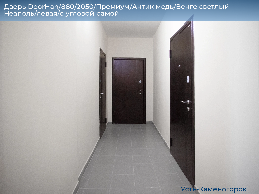 Дверь DoorHan/880/2050/Премиум/Антик медь/Венге светлый Неаполь/левая/с угловой рамой, 