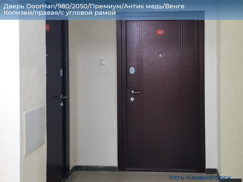 Дверь DoorHan/980/2050/Премиум/Антик медь/Венге Колизей/правая/с угловой рамой, 