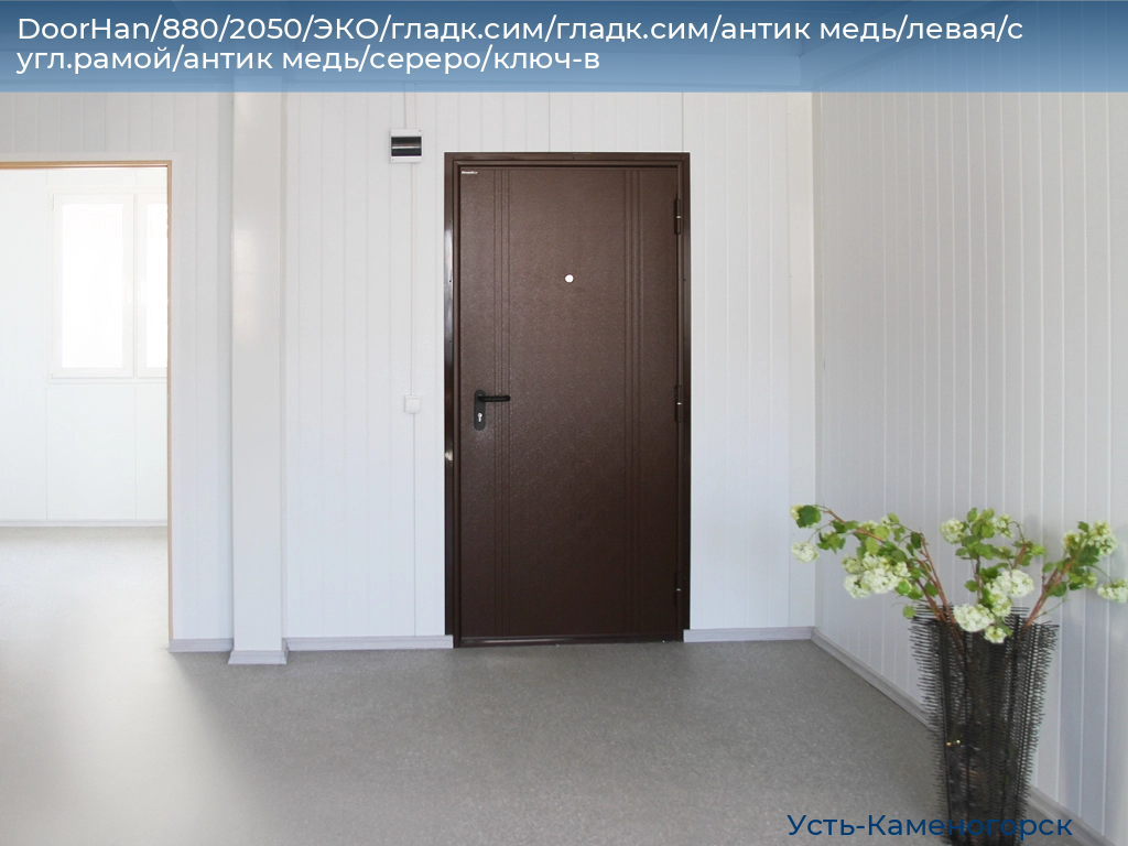 DoorHan/880/2050/ЭКО/гладк.сим/гладк.сим/антик медь/левая/с угл.рамой/антик медь/сереро/ключ-в, 